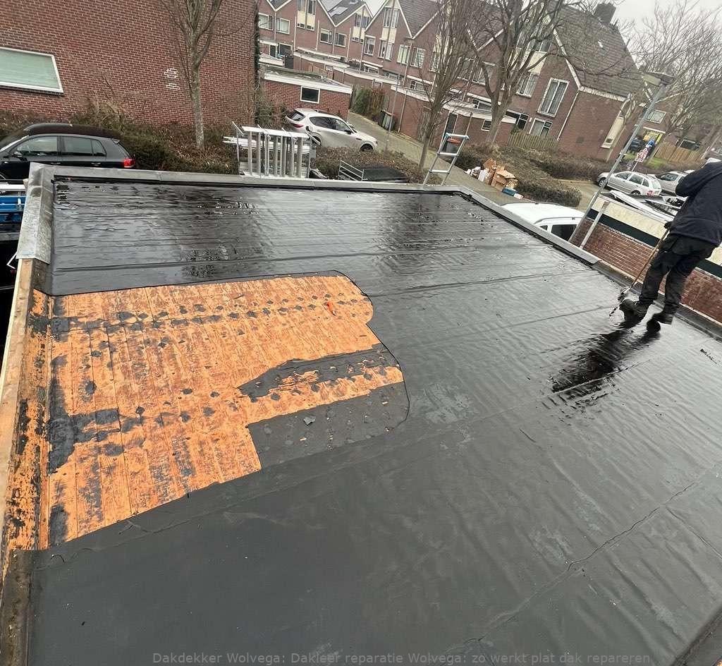 Dakleer Reparatie Wolvega