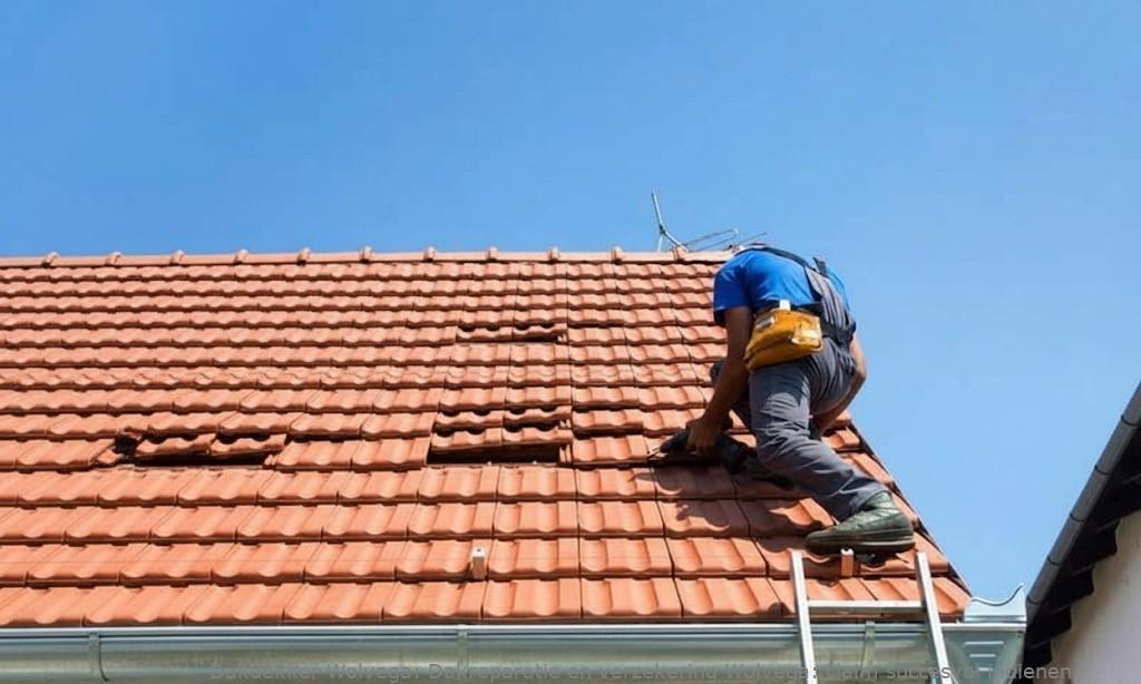 Dakreparatie En Verzekering Wolvega