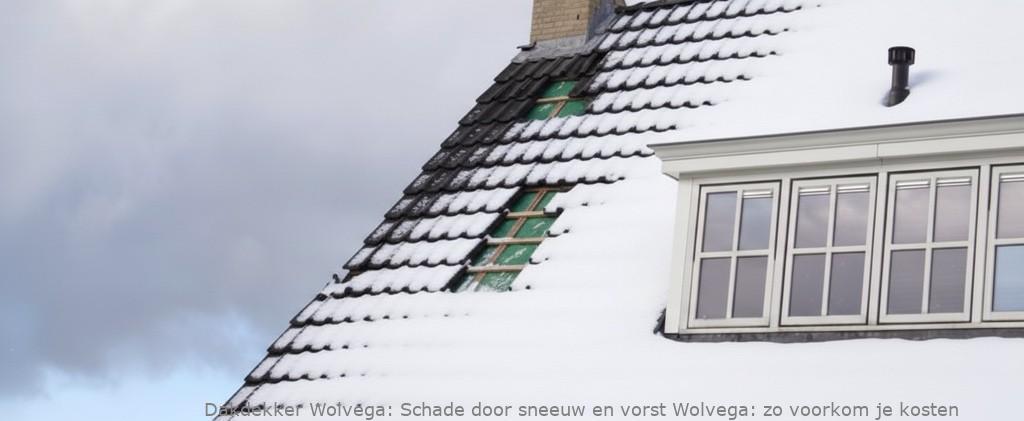 Schade Door Sneeuw En Vorst Wolvega