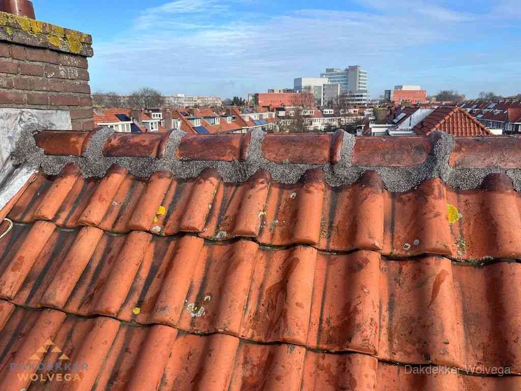 Wolvega Daken Renoveren